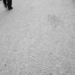 Camino