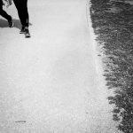 Camino