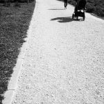 Camino