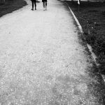 Camino