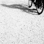 Camino