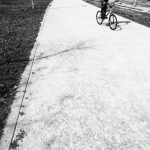 Camino